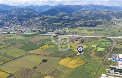 Samsun Tekkeköy Aşağıçınık’te Ticari İmarlı Arsa