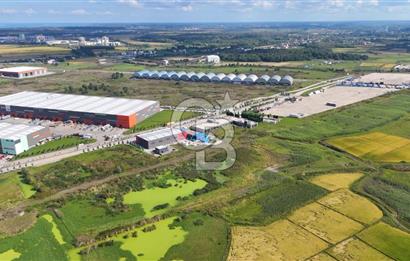 Samsun Tekkeköy Aşağıçınık’te Ticari İmarlı Arsa