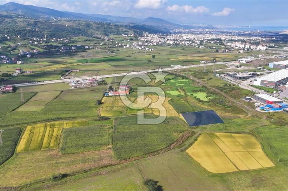 Samsun Tekkeköy Aşağıçınık’te Ticari İmarlı Arsa