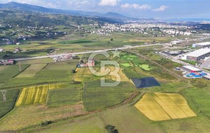 Samsun Tekkeköy Aşağıçınık’te Ticari İmarlı Arsa