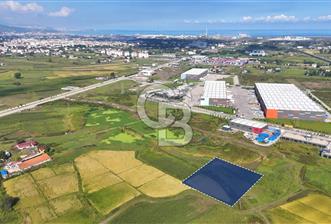 Samsun Tekkeköy Aşağıçınık’te Ticari İmarlı Arsa - 2 - 376184