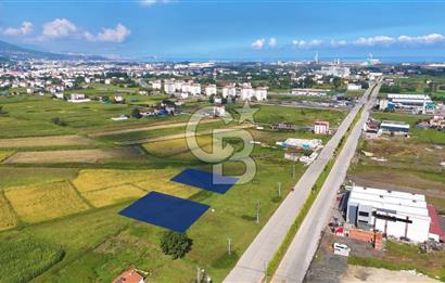 Samsun Tekkeköy Aşağıçınık’te 4 Kat İmarlı Arsa
