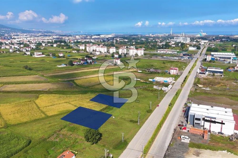 Samsun Tekkeköy Aşağıçinik'te 4 Kat İmarlı Arsa