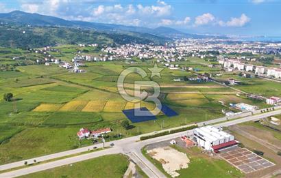 Samsun Tekkeköy Aşağıçinik'te 4 Kat İmarlı Arsa