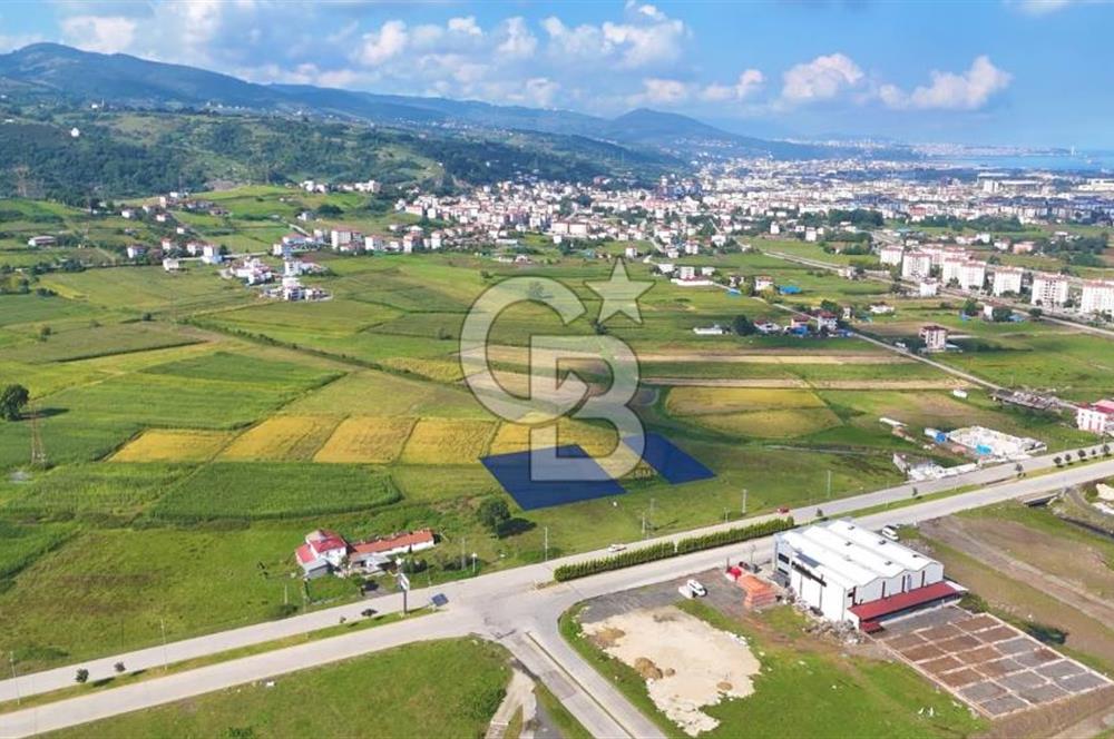 Samsun Tekkeköy Aşağıçınık’te 4 Kat İmarlı Arsa