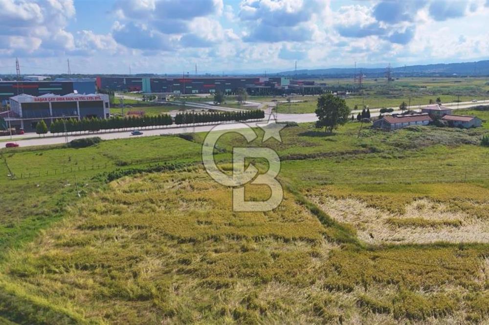 Samsun Tekkeköy Aşağıçinik'te 4 Kat İmarlı Arsa