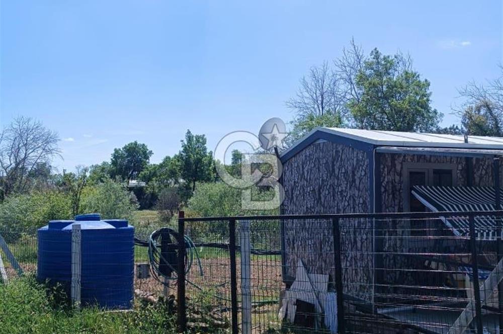 MENDERES DEREKÖYDE 397 m2 KONTEYNER EVLİ SATILIK TARLA HİSSESİ