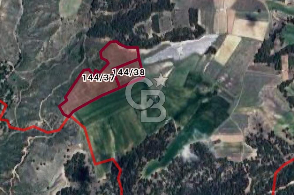 Denizli Bozkurt GES Bölgesinde Satılık Tarla