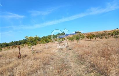 Denizli Bozkurt GES Bölgesinde Satılık Tarla