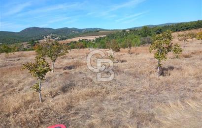 Denizli Bozkurt GES Bölgesinde Satılık Tarla