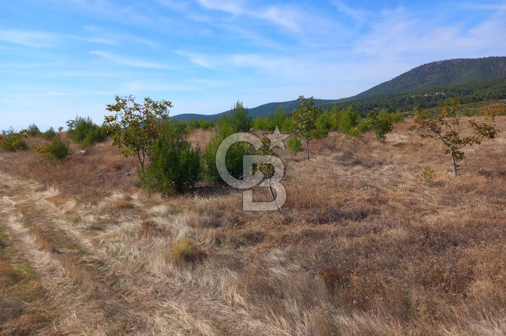 Denizli Bozkurt GES Bölgesinde Satılık Tarla