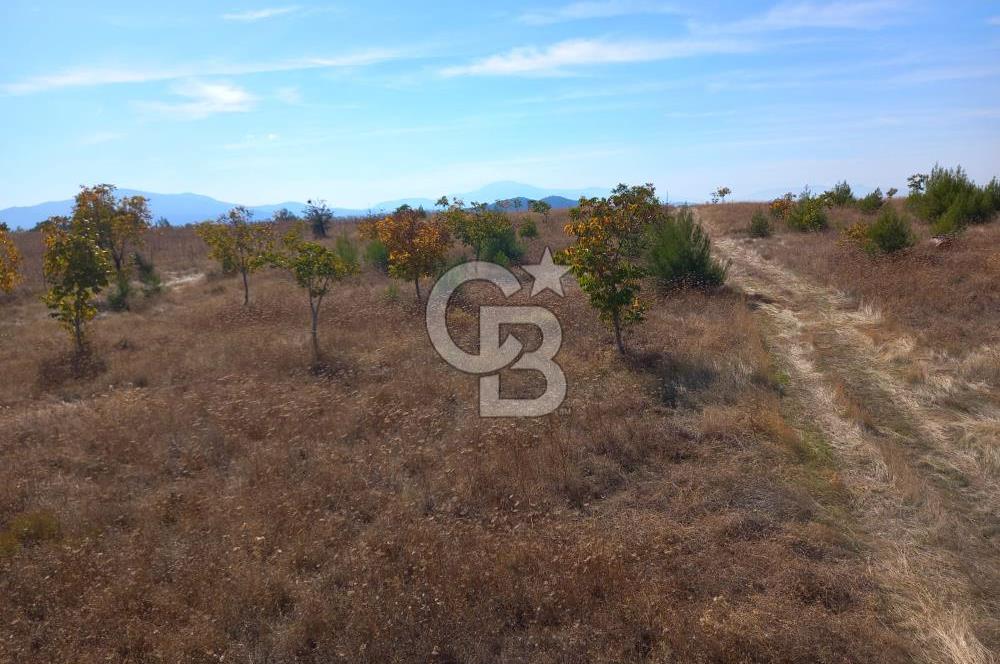 Denizli Bozkurt GES Bölgesinde Satılık Tarla