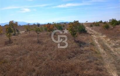 Denizli Bozkurt GES Bölgesinde Satılık Tarla