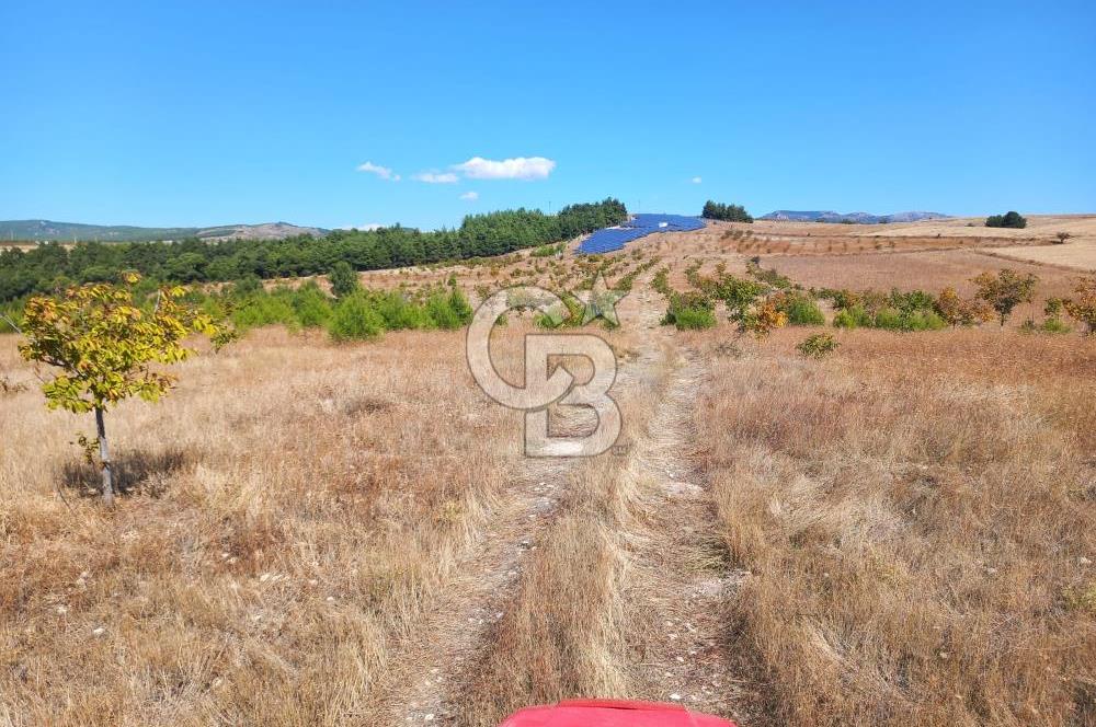 Denizli Bozkurt GES Bölgesinde Satılık Tarla