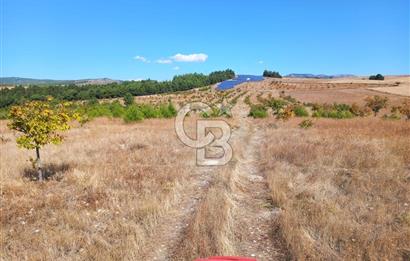 Denizli Bozkurt GES Bölgesinde Satılık Tarla