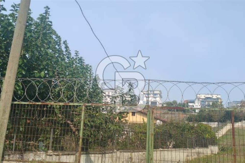 Pirireis Mah. 1030 m2 Arsa İçinde bulunan Müstakil Ev