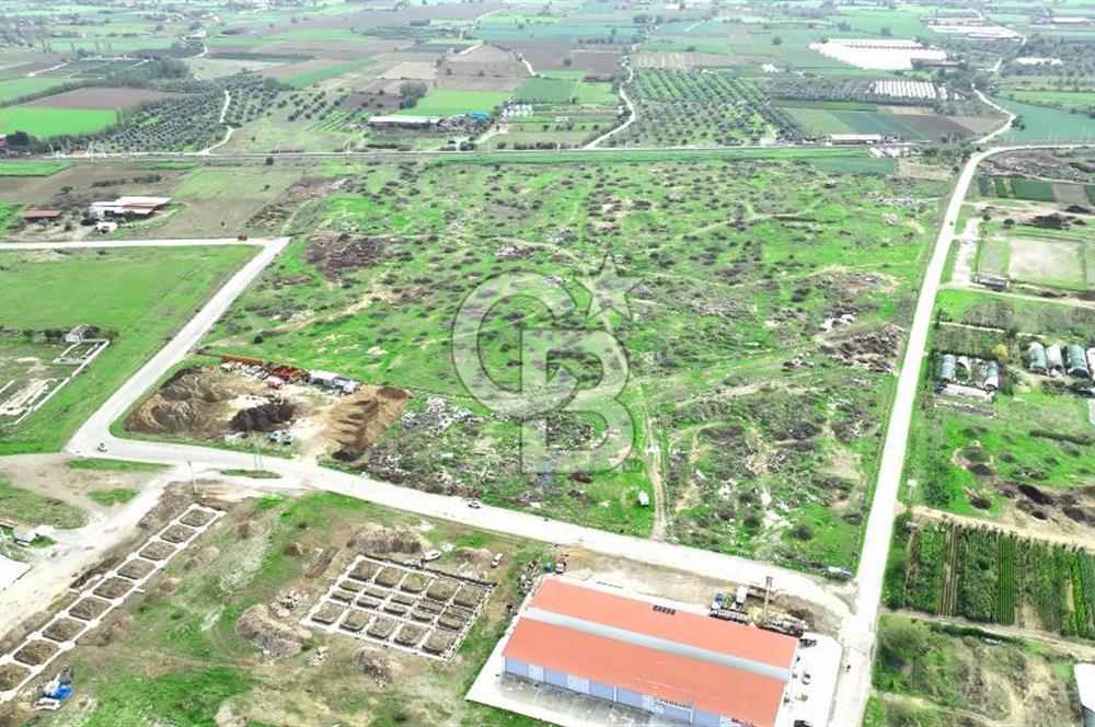 İzmir Bayındır Canlı' da Satılık Sanayi İmarlı Arsa CB PH