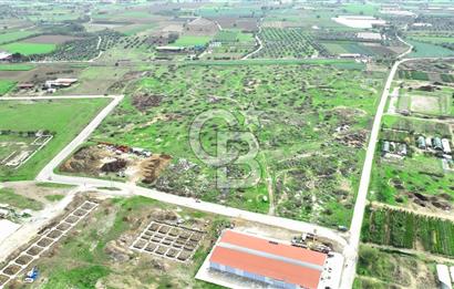 İzmir Bayındır Canlı' da Satılık Sanayi İmarlı Arsa CB PH
