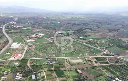 İzmir Bayındır Canlı' da Satılık Sanayi İmarlı Arsa CB PH