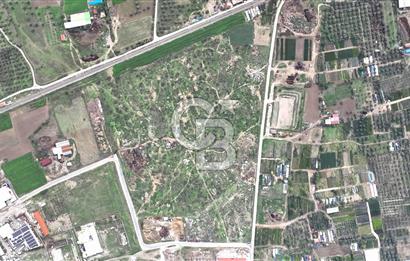 İzmir Bayındır Canlı' da Satılık Sanayi İmarlı Arsa CB PH