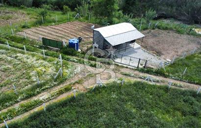 MENDERES DEREKÖYDE 397 m2 KONTEYNER EVLİ SATILIK TARLA HİSSESİ