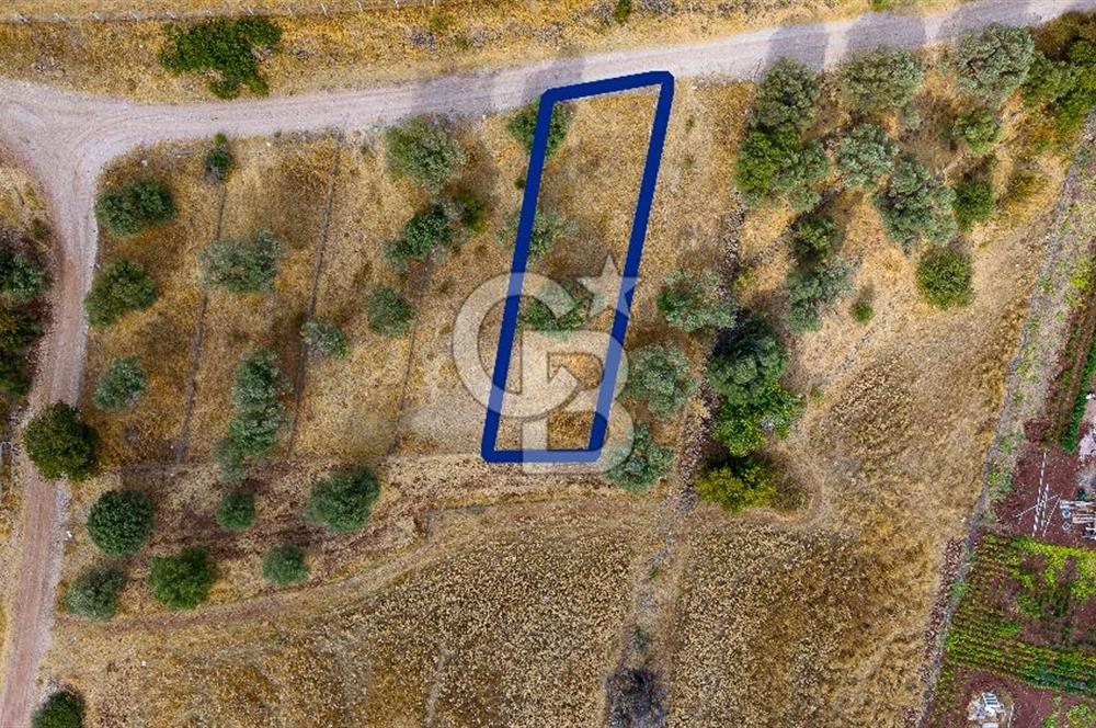 Foça Yenibağarası'nda Satılık Hisseli Tarla