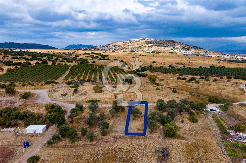 Foça Yenibağarası'nda Satılık Hisseli Tarla