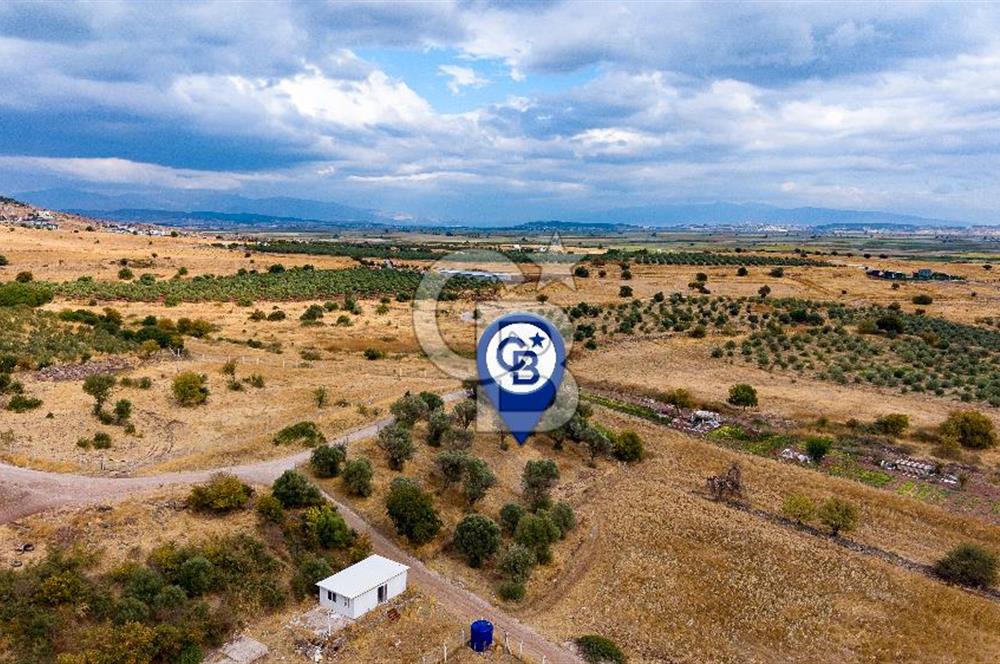 Foça Yenibağarası'nda Satılık Hisseli Tarla