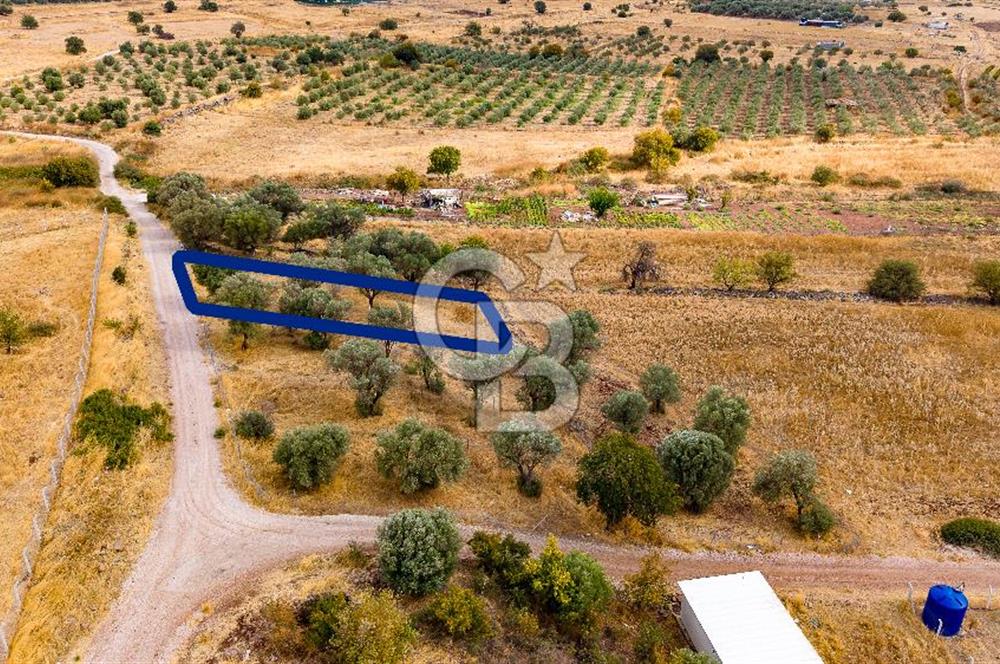 Foça Yenibağarası'nda Satılık Hisseli Tarla