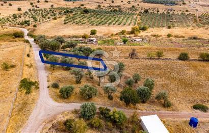 Foça Yenibağarası'nda Satılık Hisseli Tarla