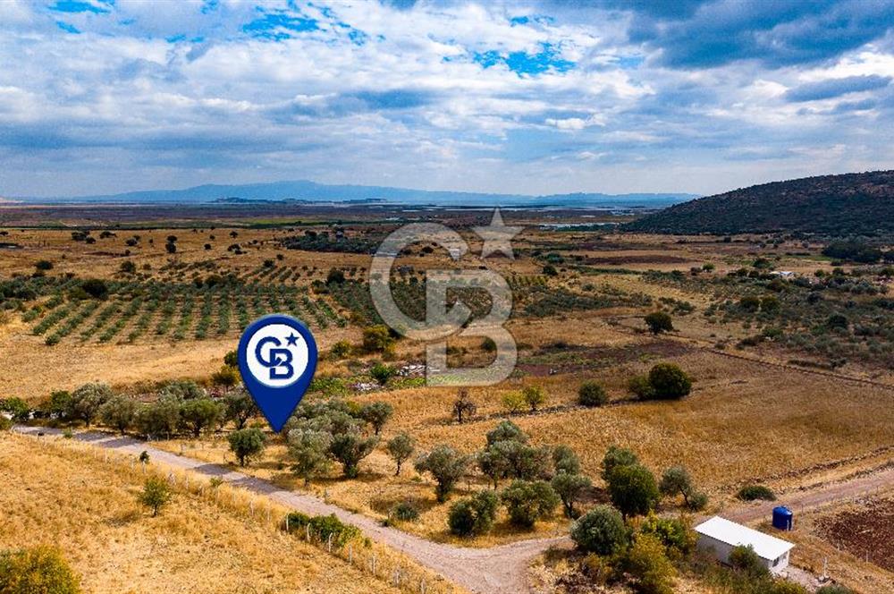 Foça Yenibağarası'nda Satılık Hisseli Tarla