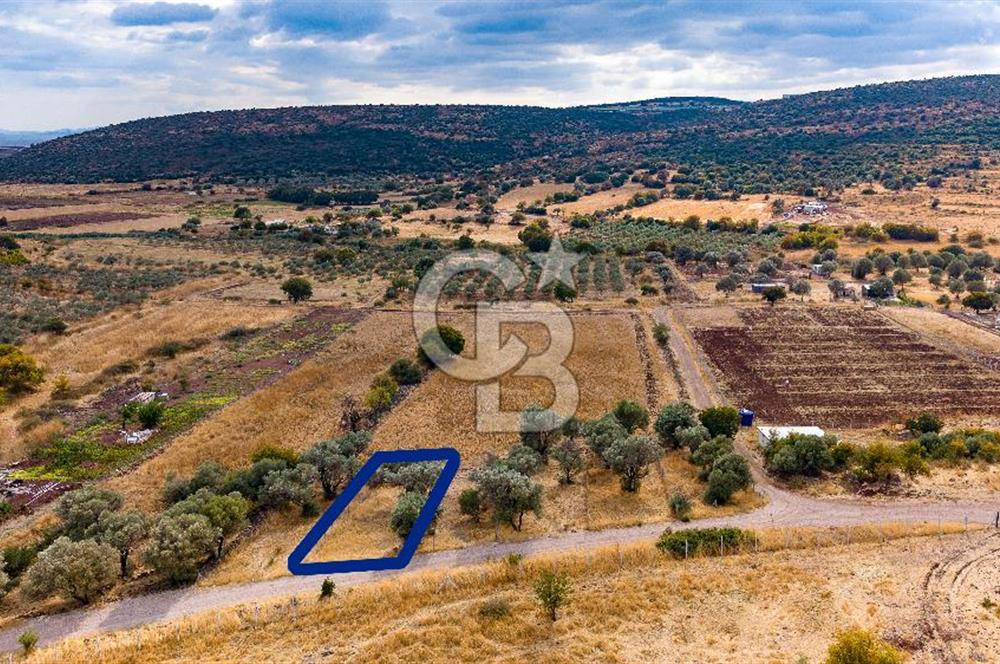 Foça Yenibağarası'nda Satılık Hisseli Tarla