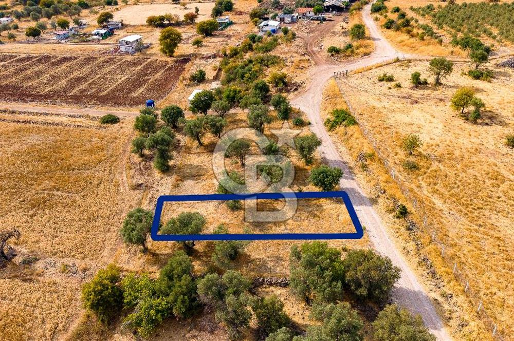 Foça Yenibağarası'nda Satılık Hisseli Tarla