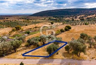 Foça Yenibağarası'nda Satılık Hisseli Tarla - 1 - 376836