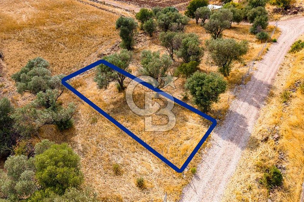 Foça Yenibağarası'nda Satılık Hisseli Tarla