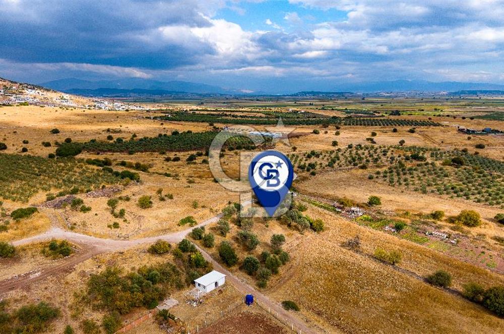 Foça Yenibağarası'nda Satılık Hisseli Tarla