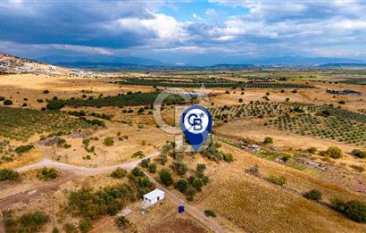 Foça Yenibağarası'nda Satılık Hisseli Tarla