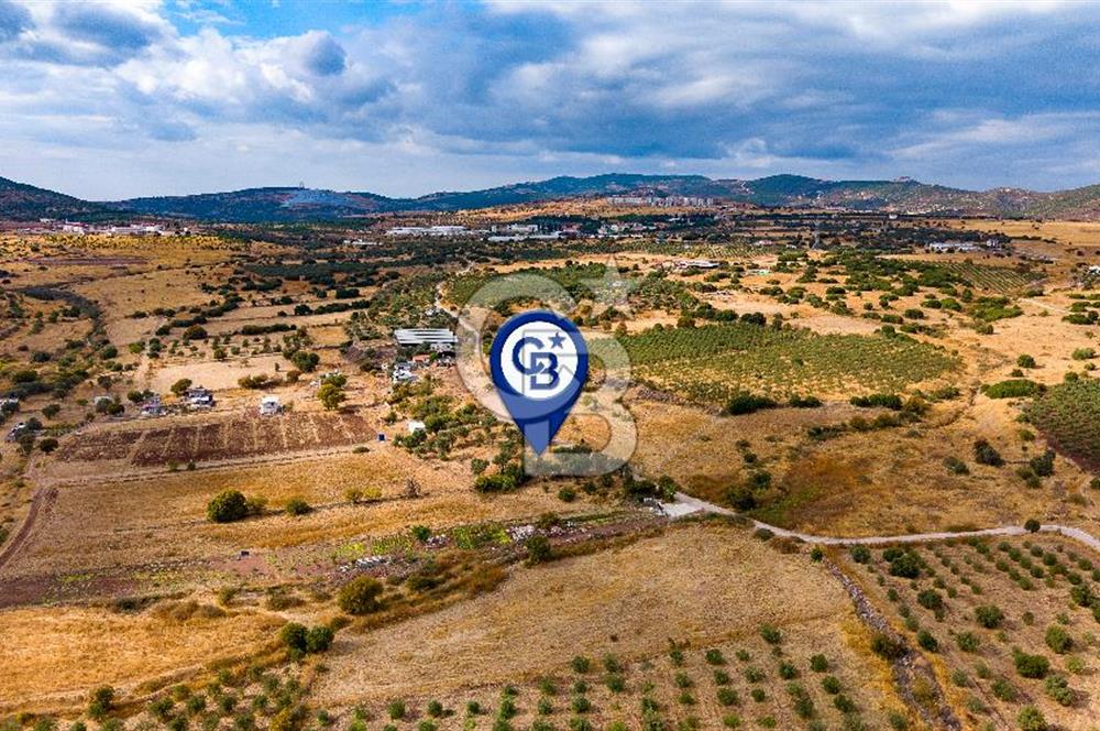 Foça Yenibağarası'nda Satılık Hisseli Tarla