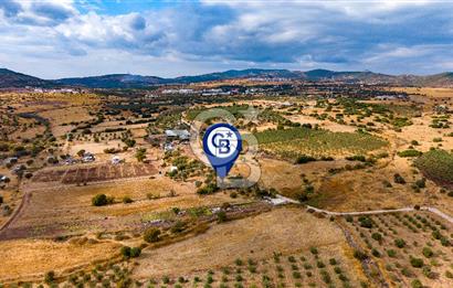 Foça Yenibağarası'nda Satılık Hisseli Tarla