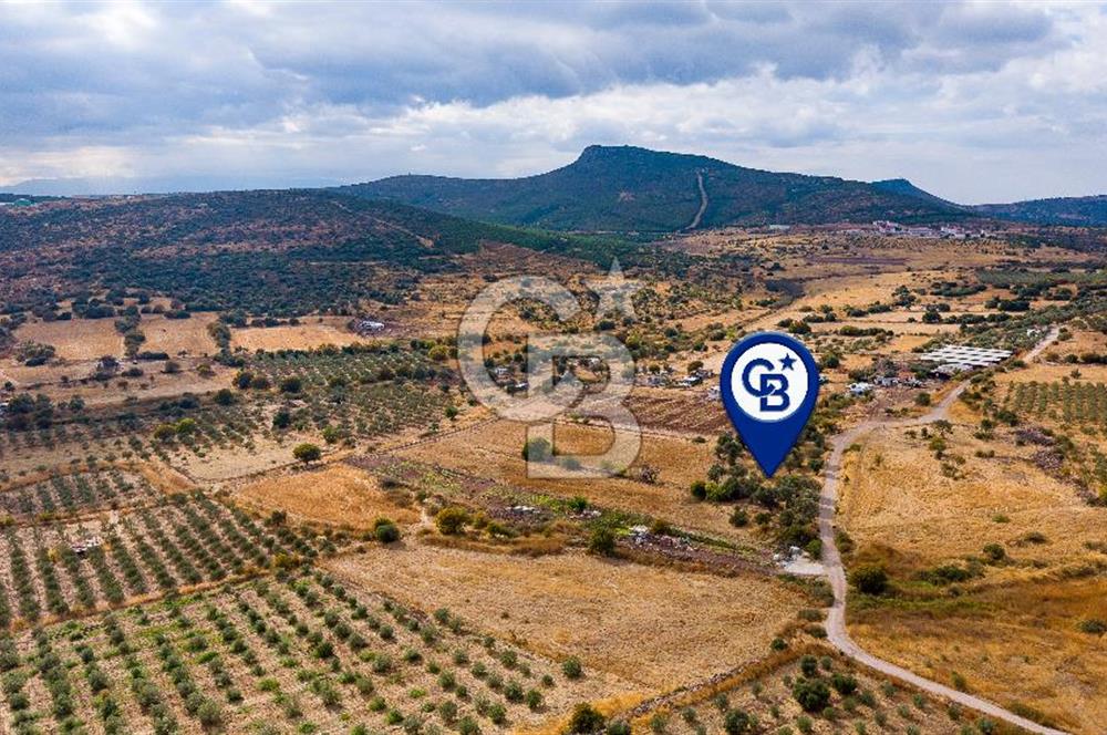 Foça Yenibağarası'nda Satılık Hisseli Tarla