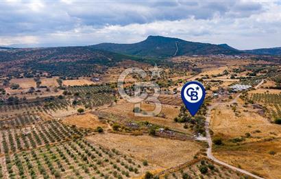 Foça Yenibağarası'nda Satılık Hisseli Tarla