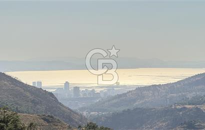 Karşıyaka Yamanlar Köyü  Zeytinlik
