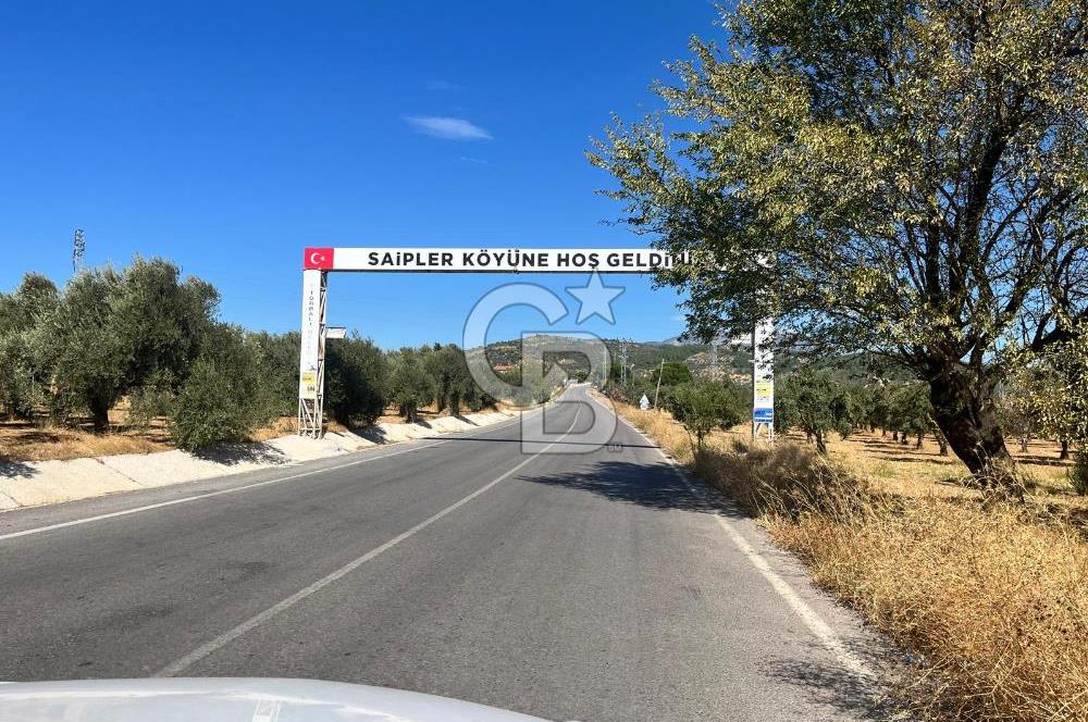 Torbalı Saipler'de Satılık Tarla
