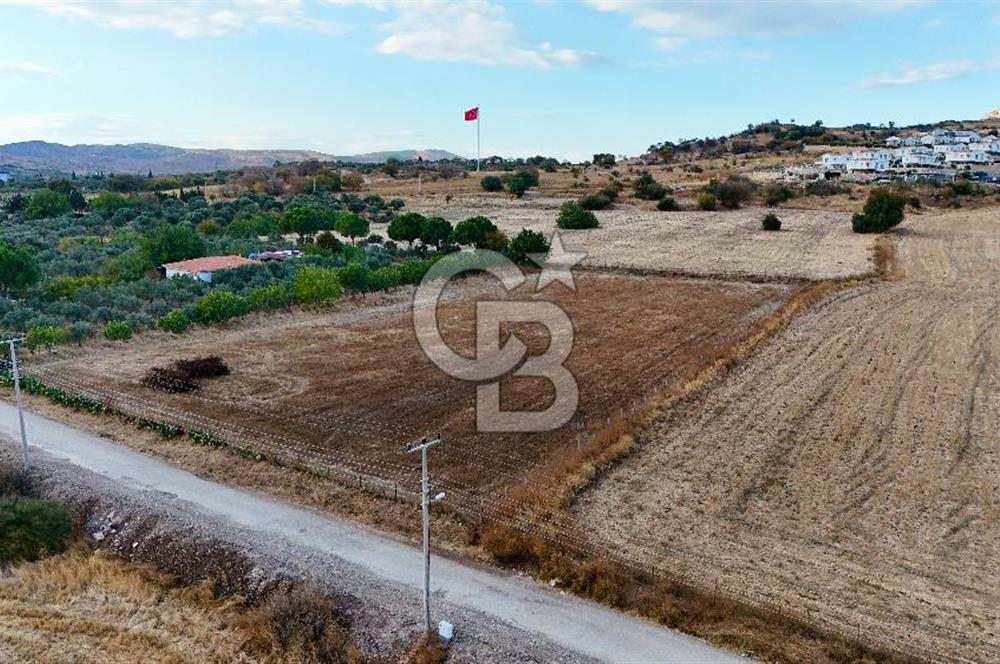 KAT KARŞILIĞI Foça Yenibağarası