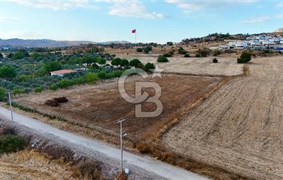 KAT KARŞILIĞI Foça Yenibağarası
