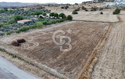 KAT KARŞILIĞI Foça Yenibağarası