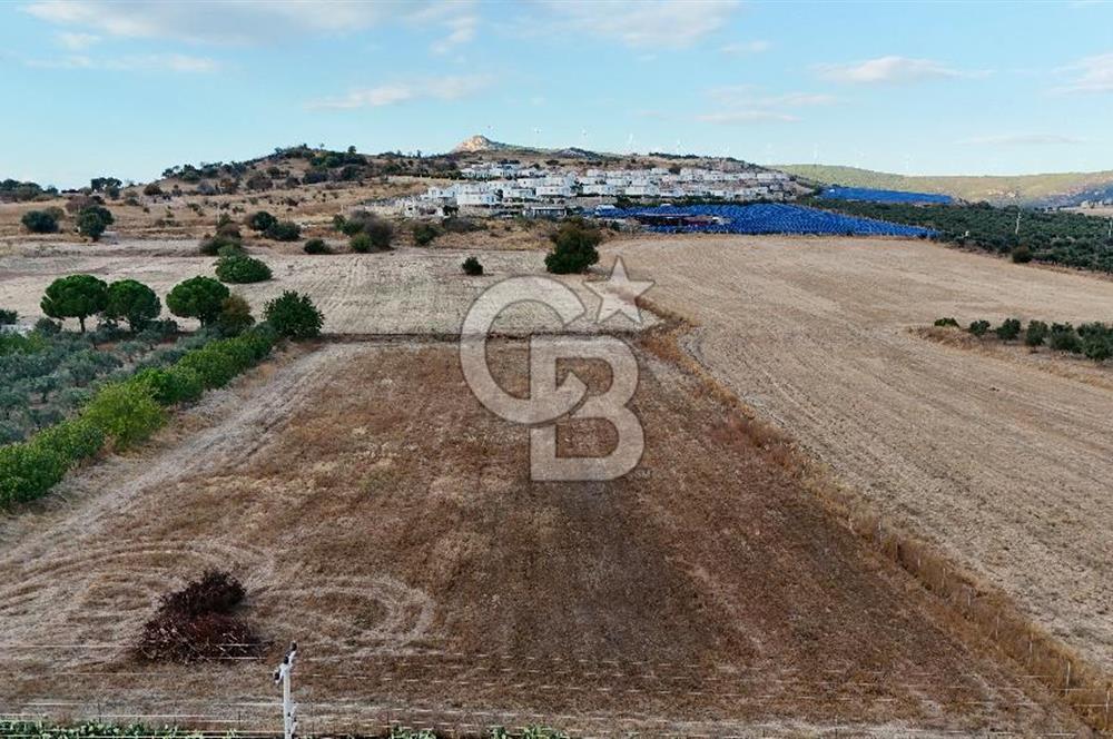 KAT KARŞILIĞI Foça Yenibağarası