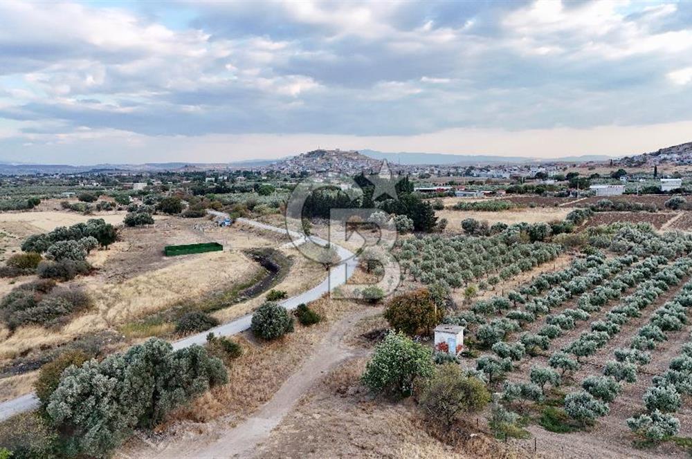 KAT KARŞILIĞI Foça Yenibağarası