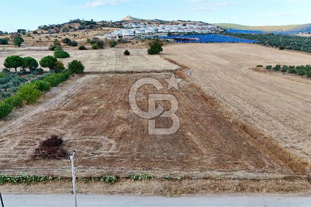 KAT KARŞILIĞI Foça Yenibağarası