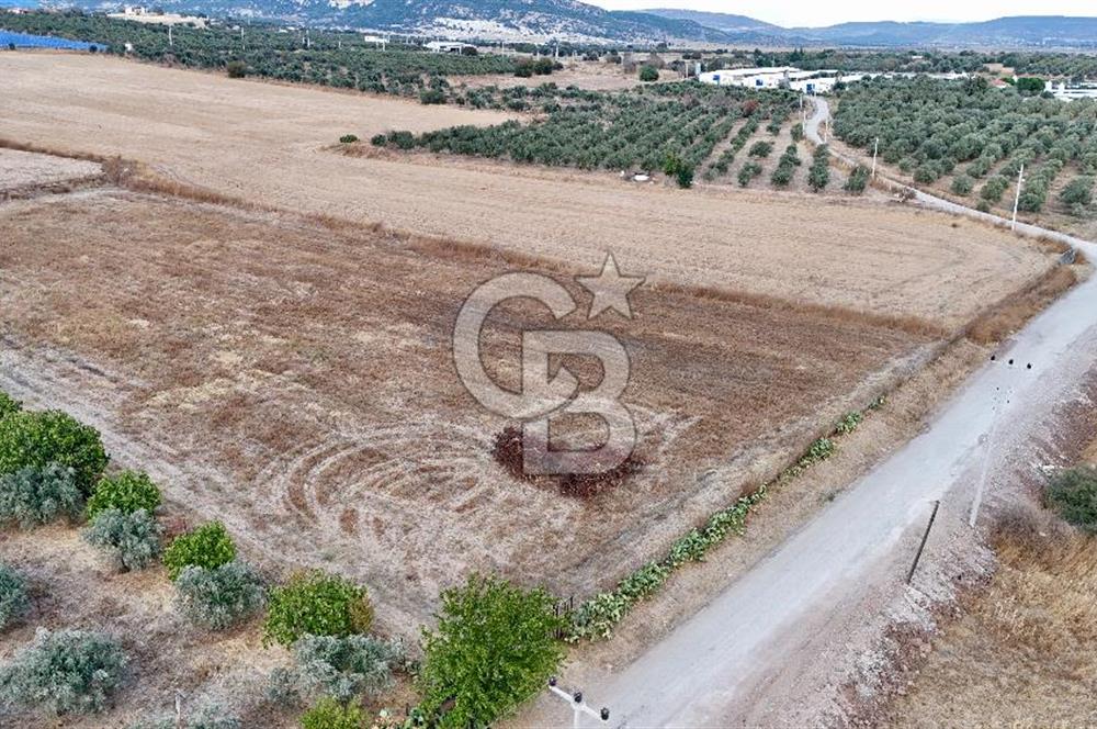 KAT KARŞILIĞI Foça Yenibağarası